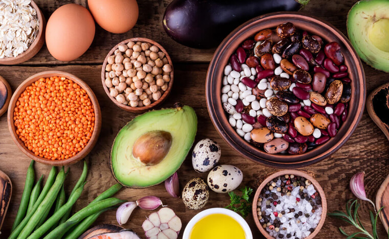 nutrition education