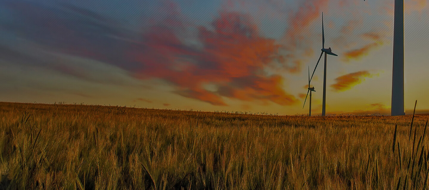 A field at sunset with wind turbines