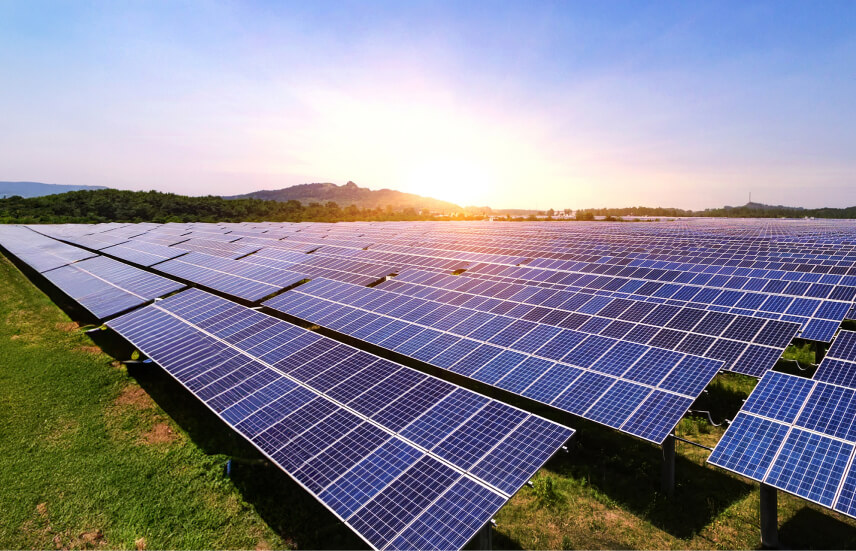 Solar panels in a field at sunset