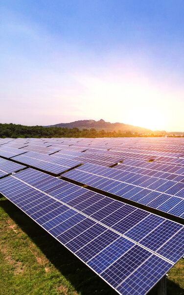 Solar panels in a field at dawn