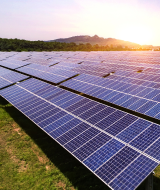 Solar panels in a field at dawn