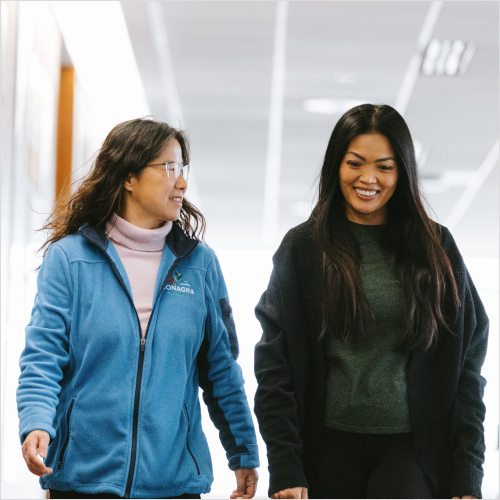 Group of employees walking