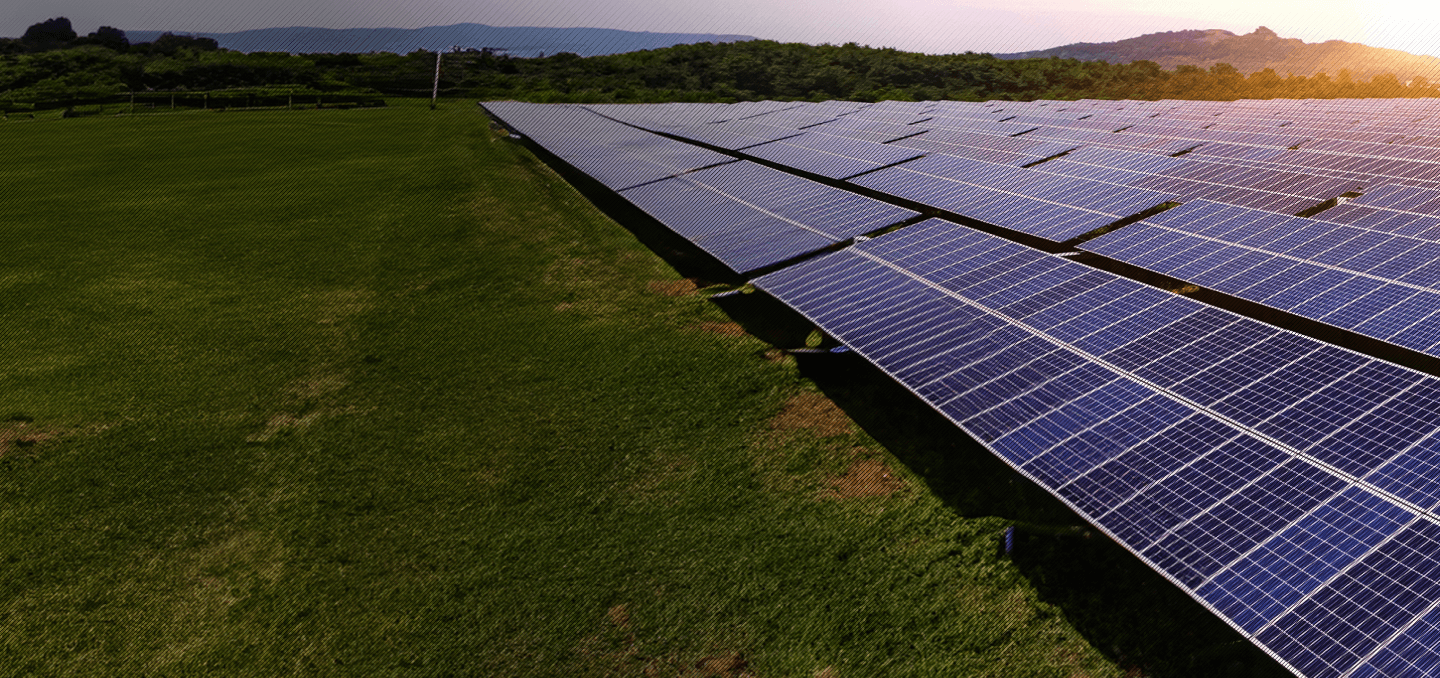 Solar panels in a field at sunset